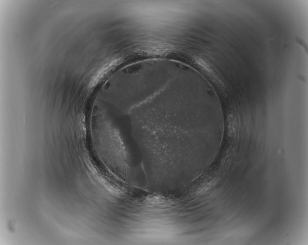 X0000100840634200806201151