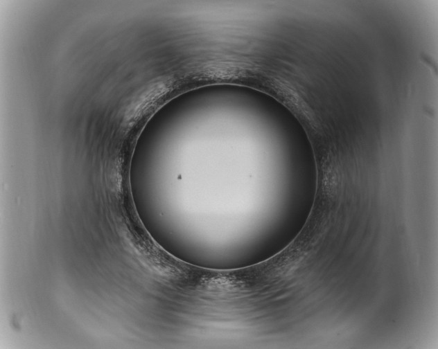 X0000100840635200806201152