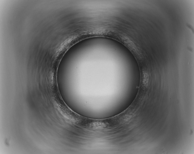 X0000100840636200806201152