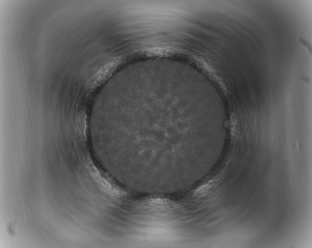 X0000100840637200806201152