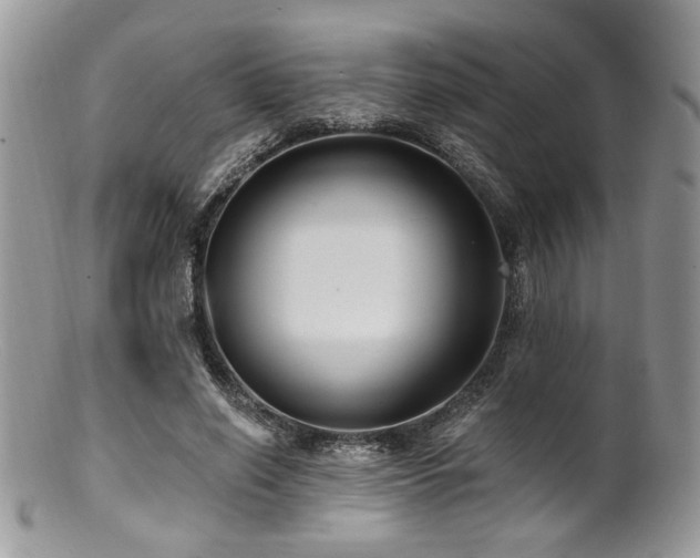 X0000100840638200806201152