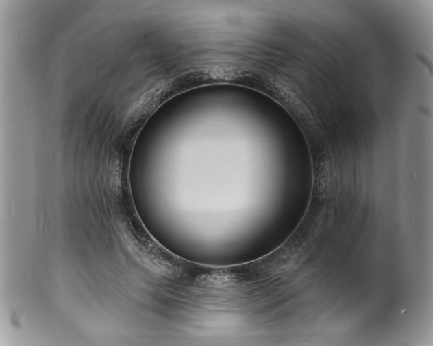 X0000100840639200806201152