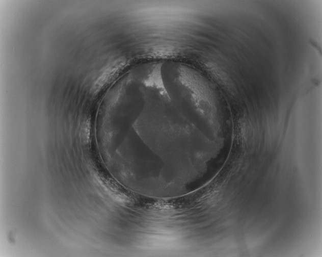 X0000100840640200806201152