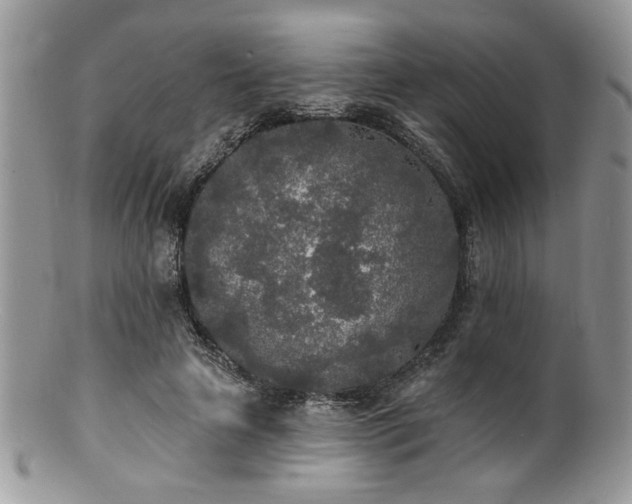 X0000100840641200806201152