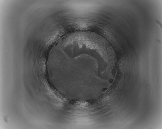 X0000100840642200806201152