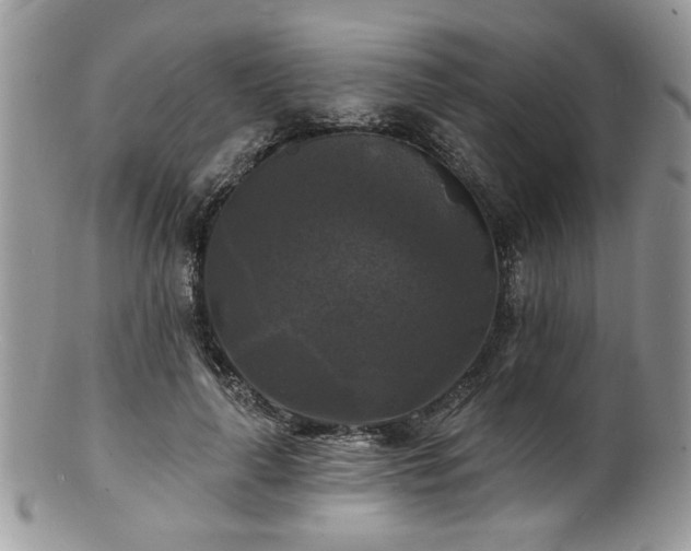 X0000100840643200806201152