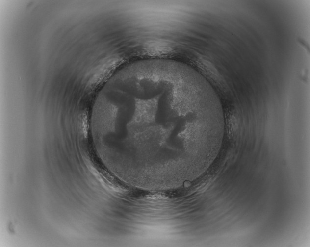 X0000100840644200806201152