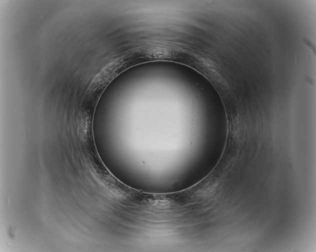 X0000100840645200806201152