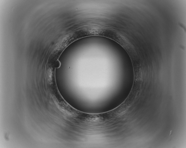 X0000100840646200806201152