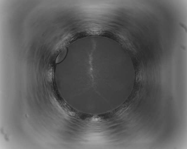 X0000100840647200806201152