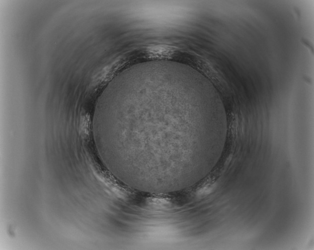 X0000100840649200806201152