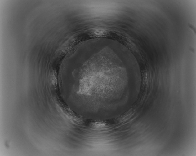 X0000100840651200806201152