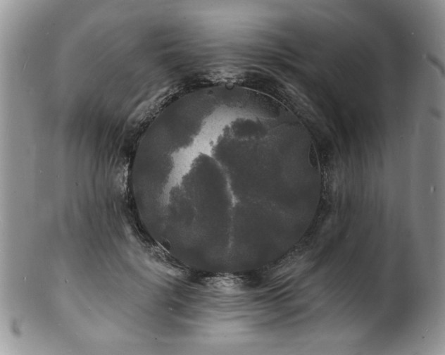 X0000100840652200806201152