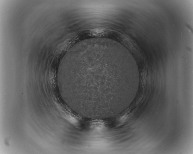 X0000100840653200806201152