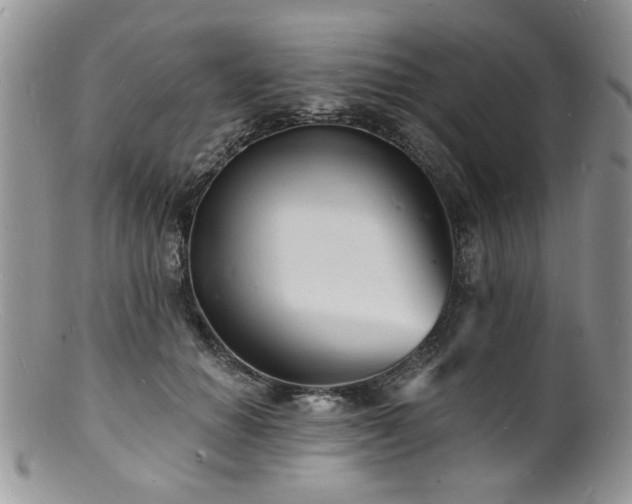 X0000100840654200806201152