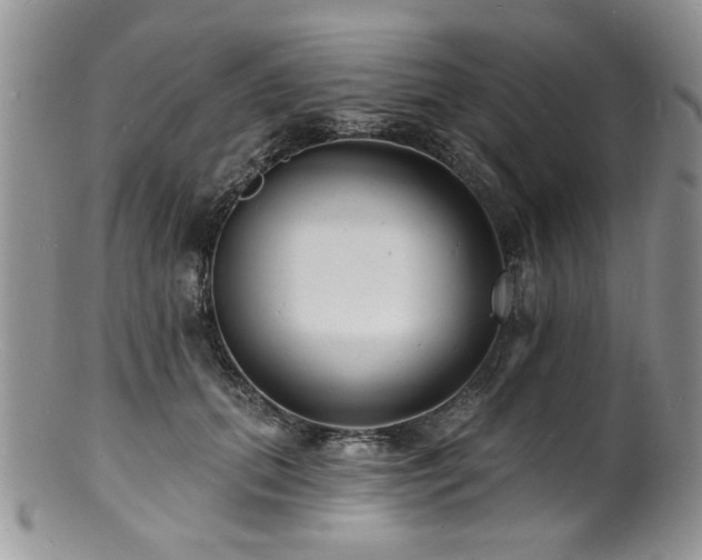 X0000100840655200806201152