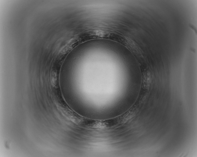 X0000100840656200806201152