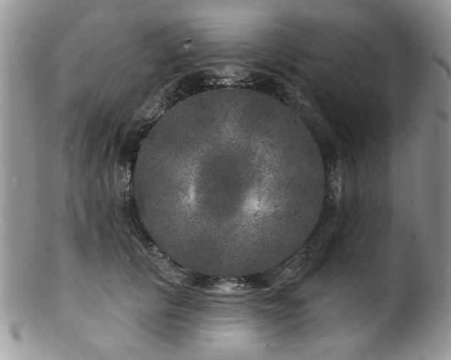 X0000100840657200806201152