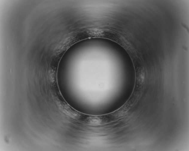 X0000100840658200806201152