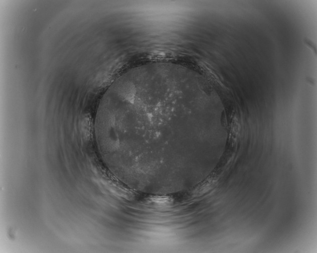 X0000100840659200806201152