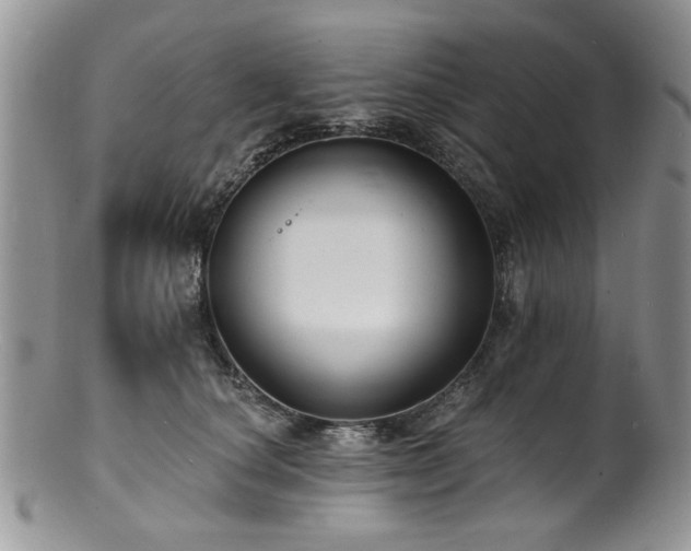 X0000100840660200806201152