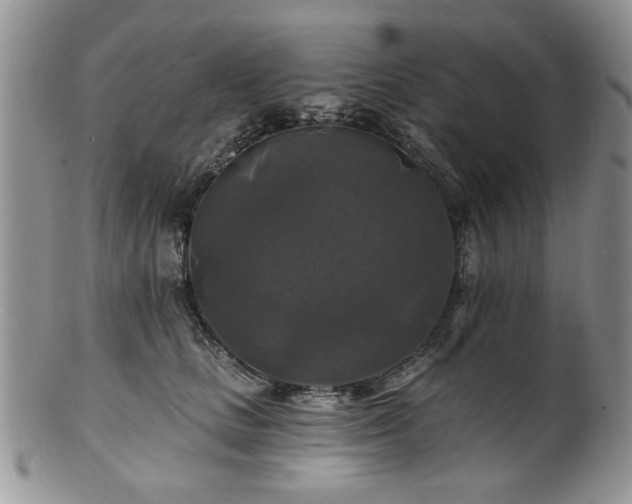 X0000100840661200806201152