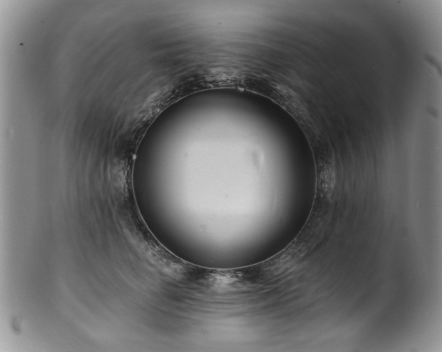 X0000100840662200806201152