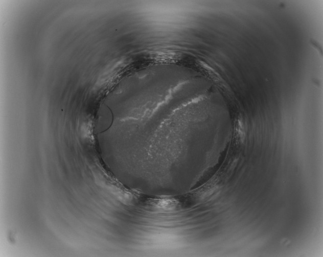 X0000100840663200806201152