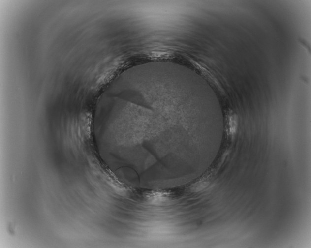 X0000100840664200806201152