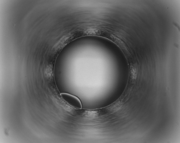 X0000100840665200806201152