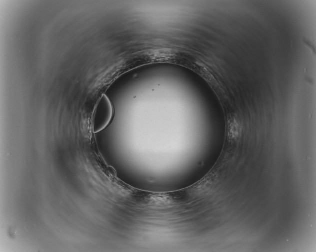 X0000100840666200806201152