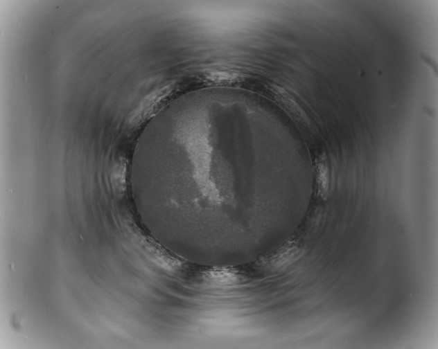 X0000100840668200806201152