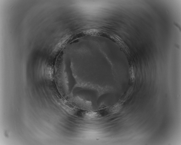 X0000100840669200806201152