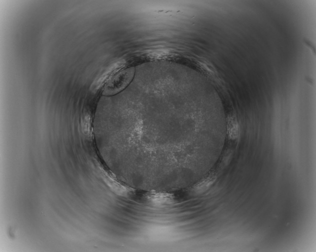 X0000100840670200806201152