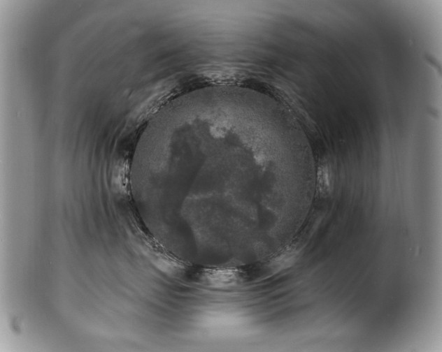 X0000100840671200806201152