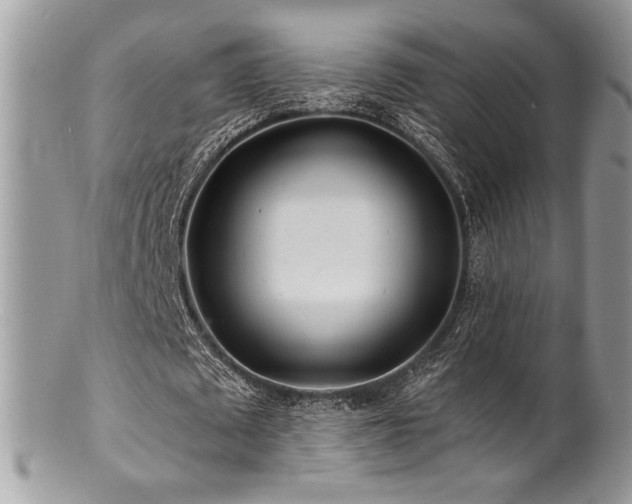 X0000100840673200806201151