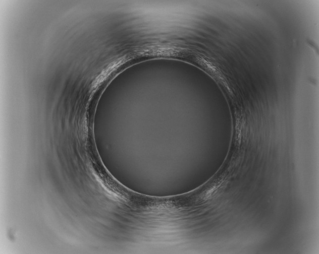 X0000100840674200806201151