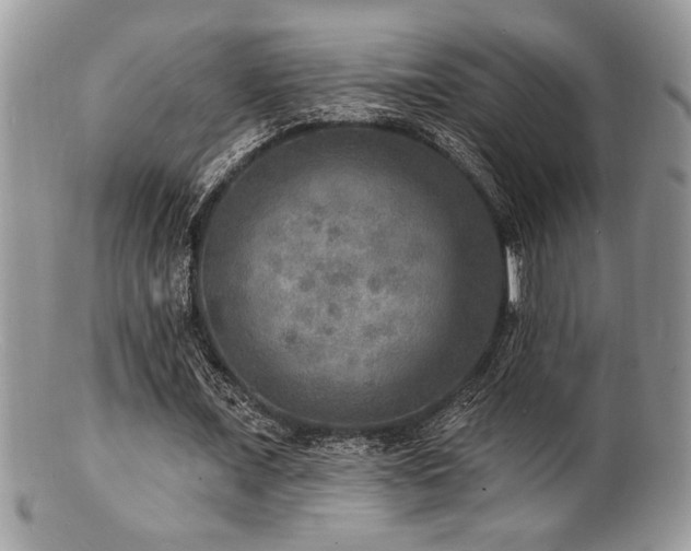 X0000100840675200806201151