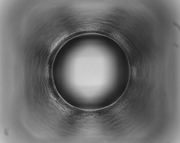 X0000100840676200806201151