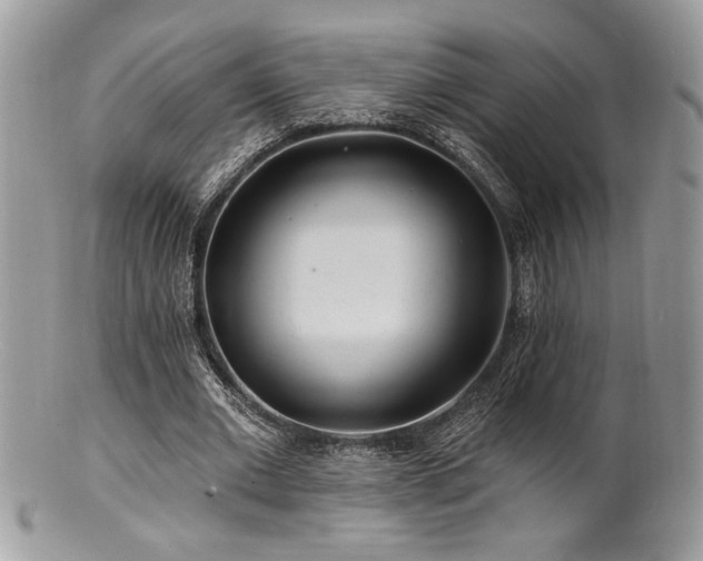 X0000100840677200806201151