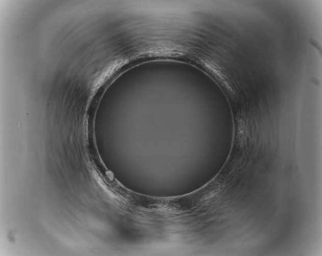 X0000100840678200806201151