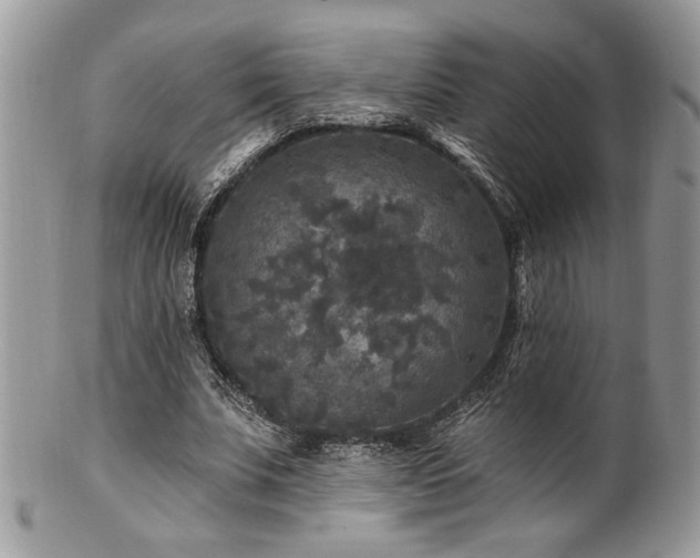 X0000100840679200806201151