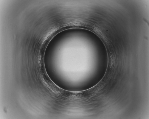 X0000100840680200806201151