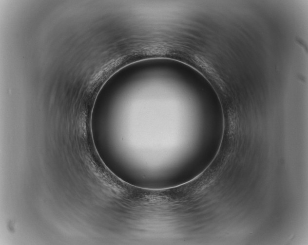 X0000100840681200806201151