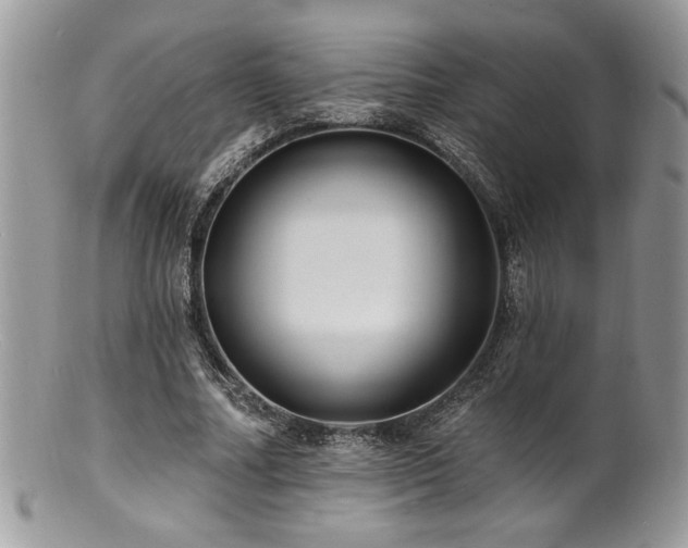 X0000100840682200806201151