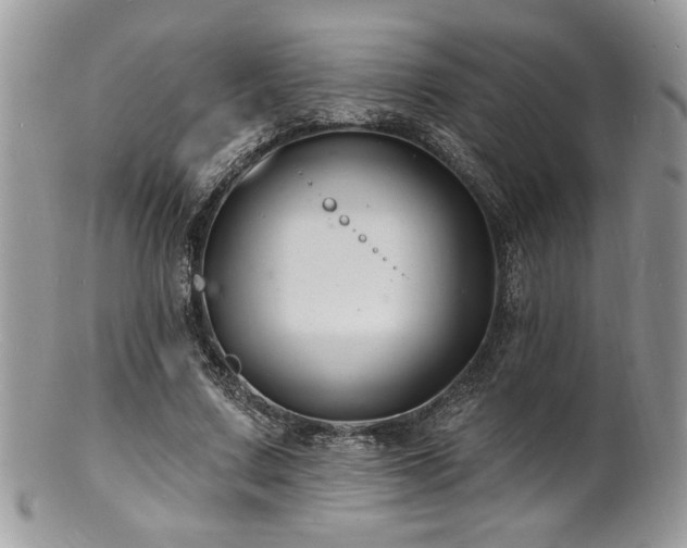 X0000100840683200806201151