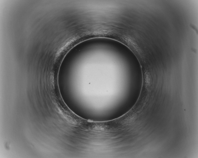 X0000100840684200806201151