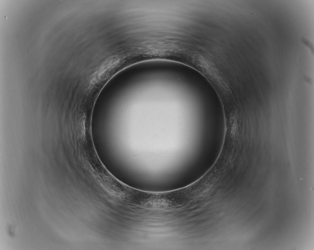 X0000100840685200806201151