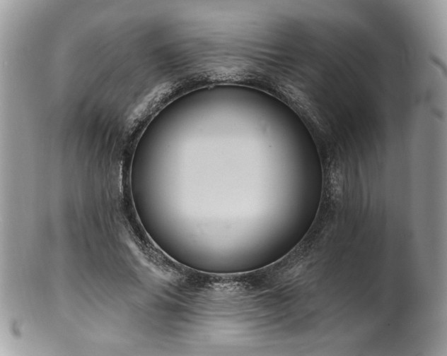 X0000100840686200806201151