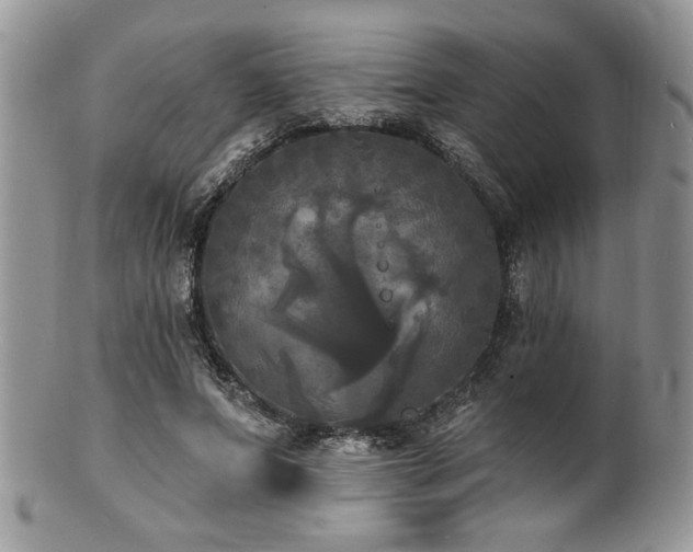 X0000100840687200806201151